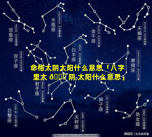命格太阴太阳什么意思「八字里太 💐 阴 太阳什么意思」